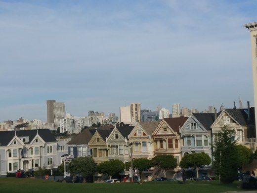 Painted Ladies